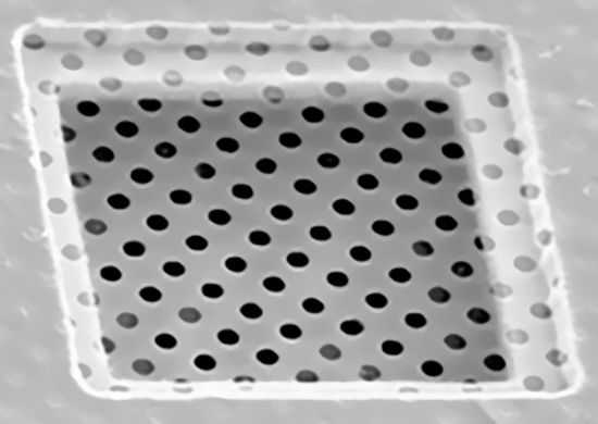 Picture of Quantifoil® R 3/3 Holey Carbon Films on Grids