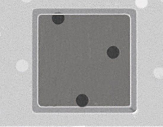 Picture of Quantifoil® R 5/20 Carbon Film on Grids