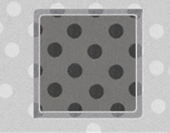 Picture of Quantifoil® R 6/6.5 Holey Carbon Films on Grids