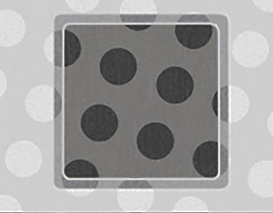 Picture of Quantifoil® R 10/5 Holey Carbon Films on Grids