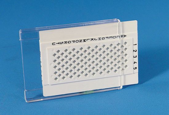 Picture of The Original LKB Grid Storage Box