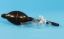 Picture of All Glass Nebulizer