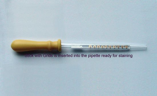 Picture of Grid-Stick Staining Pipette with 2 Plugs