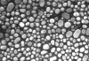 Picture of High Resolution Au-C On JEOL Stub