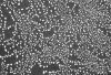 Picture of Ultra High Resolution On 12.5mm Stub