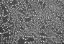 Picture of Ultra High Resolution On 12.5mm Stub