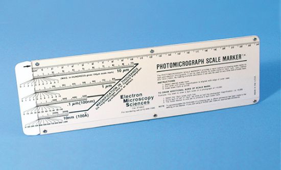 Picture of Photomicrograph Scale Marker