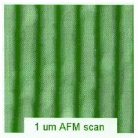 Picture of SPM Calibration Specimens