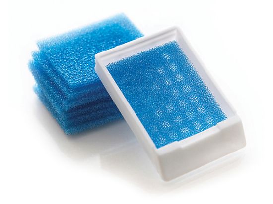 Picture of Biopsy Pads, 1” x 1.125, Blue
