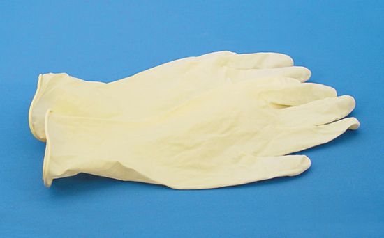 Picture of Latex Gloves, Powder Free Medium