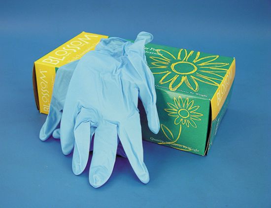 Picture of Nitrile Gloves, Medium