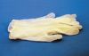 Picture of Vinyl Exam White Gloves