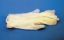 Picture of Vinyl Exam White Gloves