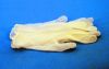 Picture of Vinyl Gloves, Large