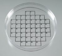Picture of 50-Square Grids