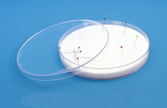 Picture of Dissecting Dish with Plastic Dish