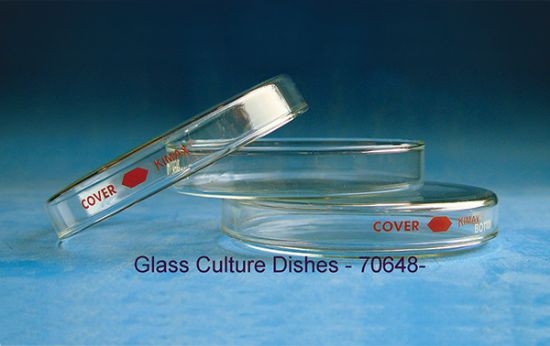 Picture of Pyrex® Petri Dish 60x15 mm
