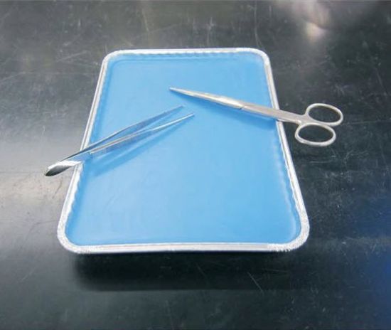 Picture of "Blue Wax" Dissection Tray