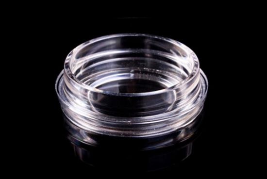 Picture of Clear Culture Dish 35X10mm 22mm Dia