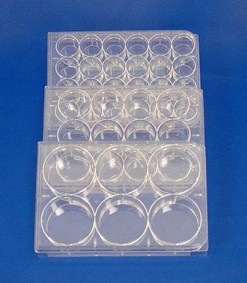Picture of Costar® Brand Cell Culture Clusters 12 Well