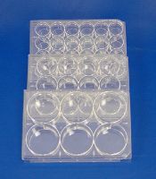 Picture of Costar® Brand Cell Culture Clusters 24 Well