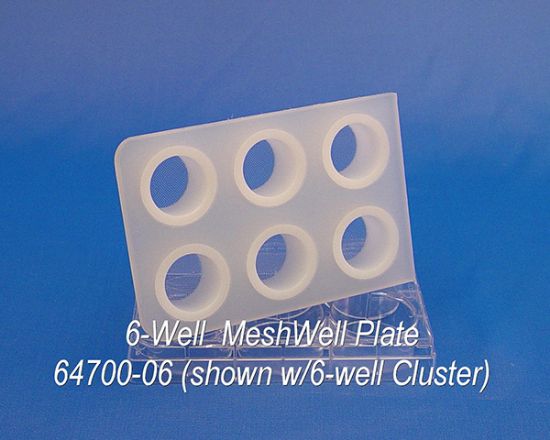 Picture of Meshwell Plate, 6-Well w/Cluster