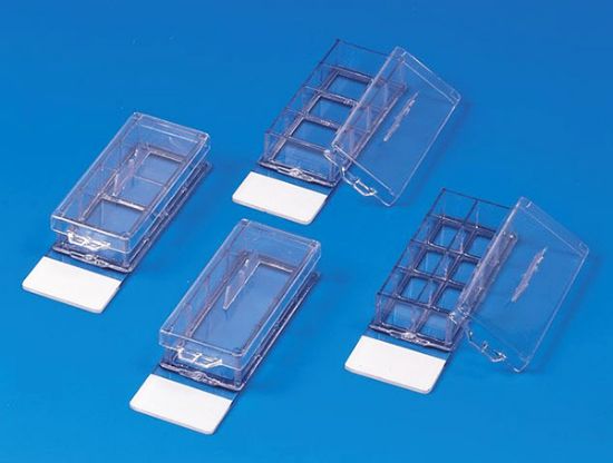 Picture of 4-Chamber Lab-Tek® II Slide