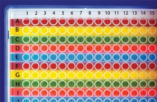 Picture of Multi-Colored 384 Well Orienter, Horizontal