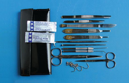 Picture of Anatomy Dissecting Kit 2