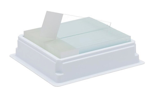 Millennia 2.0 Adhesion Slide Green, 75x25 mm