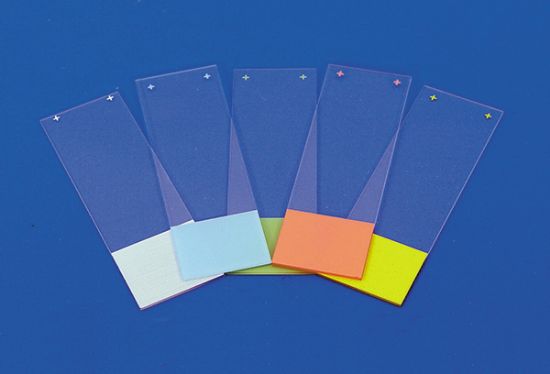 Picture of SUPERFROST® PLUS - Adhesion Slide