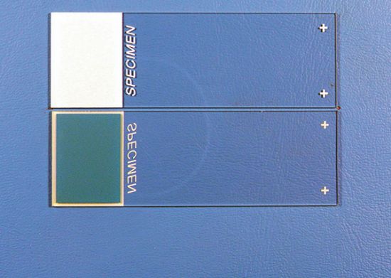 Picture of Colormark™ Plus Glass Slide, Blue Front, Blue Back