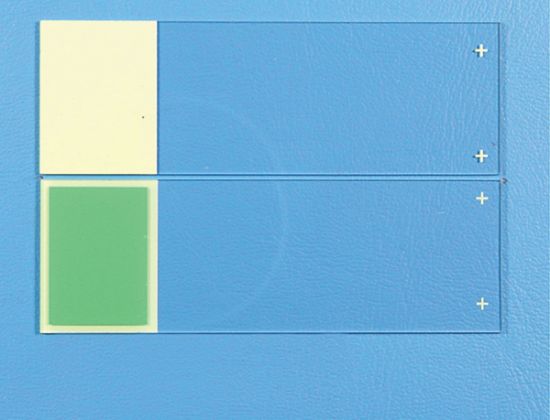 Picture of Colormark™ Plus Glass Slide, Green Front, Green Back
