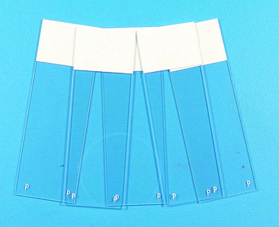 Picture of Poly-L-Lysine Coated Slides