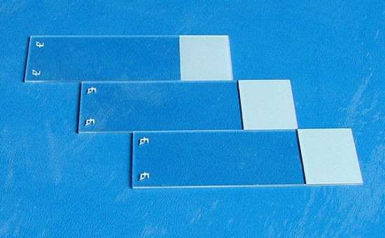Excell Adhesion Slide 1 Gross