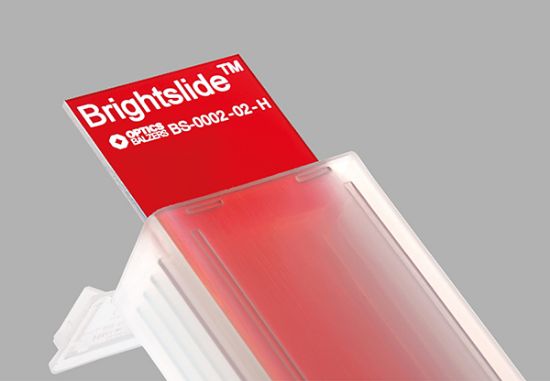 Picture of Bright Slide D