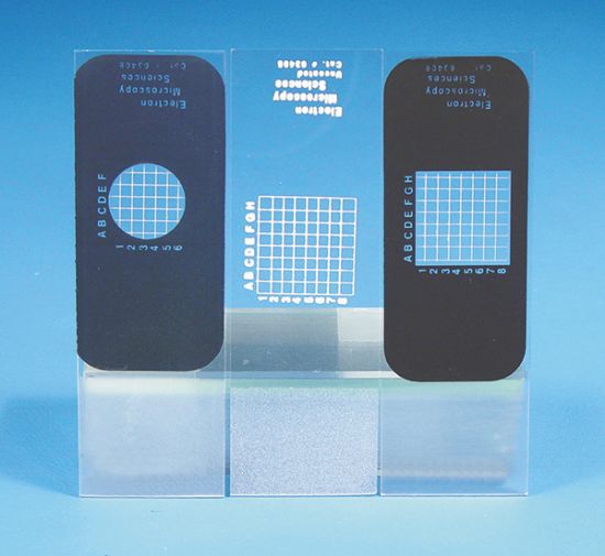 Picture of Gridded Microscope Slides
