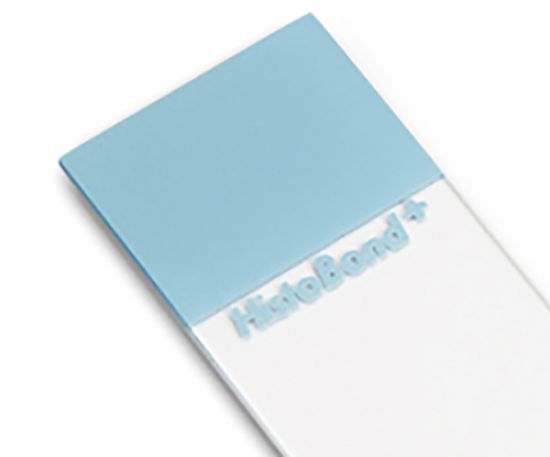 Picture of Retriever Tissue Slides, HistoBond + F, Blue