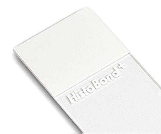Picture of Retriever Tissue Slides, HistoBond + X, White