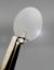 Picture of Rat Tail Type I Collagen Coated German Glass Cover Slips