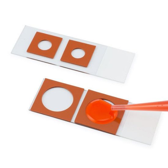 Picture of 1 Well FastWell™ Incubation Chamber, 9mm Dia x 1.0mm Depth