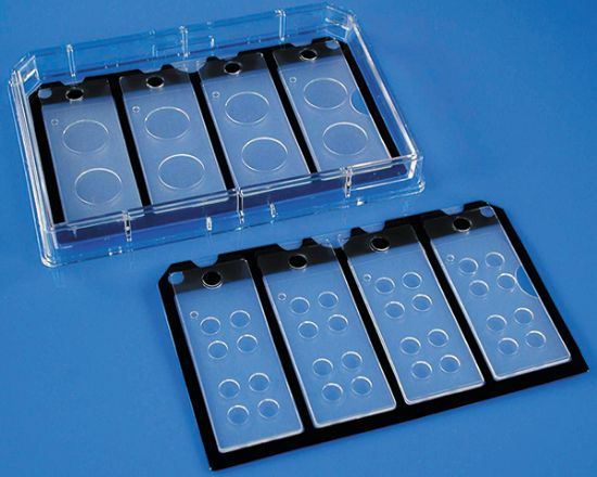 Picture of CultureWell™ Chambered Coverglass Inserts