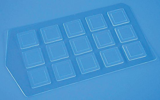 Picture of SecureSlip™ Cell Culture Coverglass