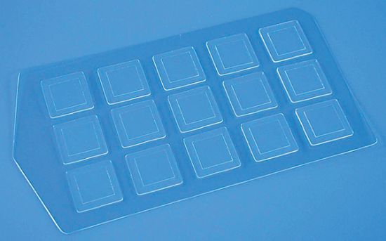 Picture of Secureslip Coverslip 15 Well - 12mm Dia