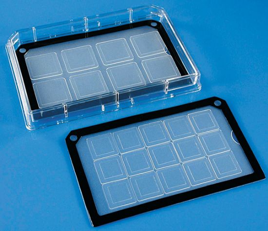 Picture of MultiSlip™ Cell Culture Coverglass Inserts