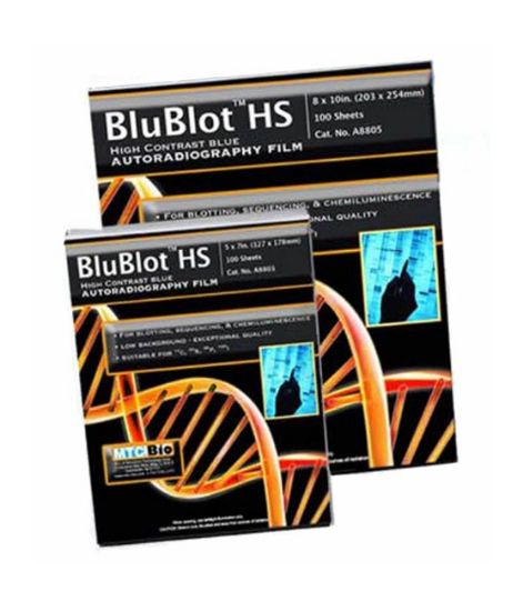 Picture of BluBlot HS Western Blotting Film, 5x7"