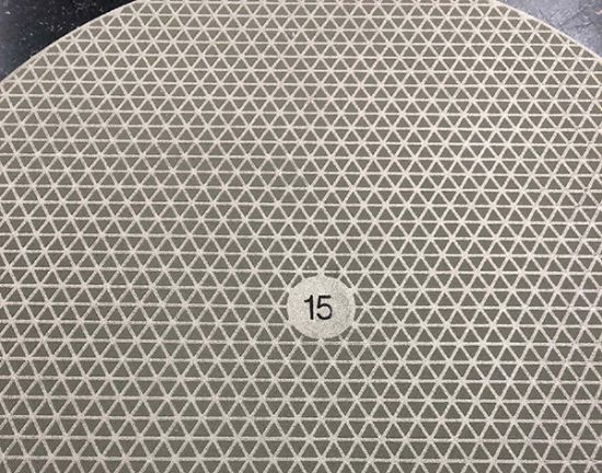 Picture of PremaDisk S-EC Diamond Grinding Disc 30µm, 200mm