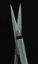 Picture of Lighted Metzenbaum Scissors 14.5 cm, Sharp Tip