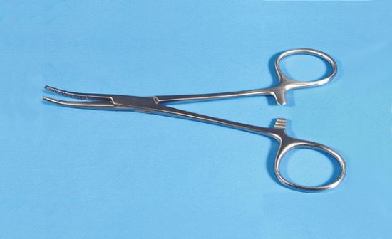 Picture of Halstead Mosquito Forceps