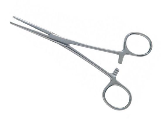 Picture of EMS Rochester Pean Forceps Straight, 5½" (137.9mm)